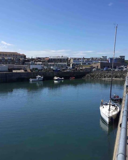 Kelvinside, Seahouses, 2 Minute Walk Into Village Eksteriør bilde